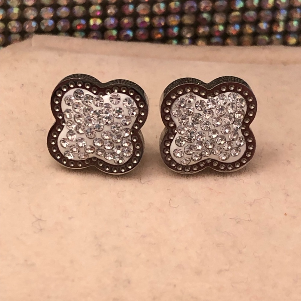 Stainless Steel Pave Set Sparkly Earrings